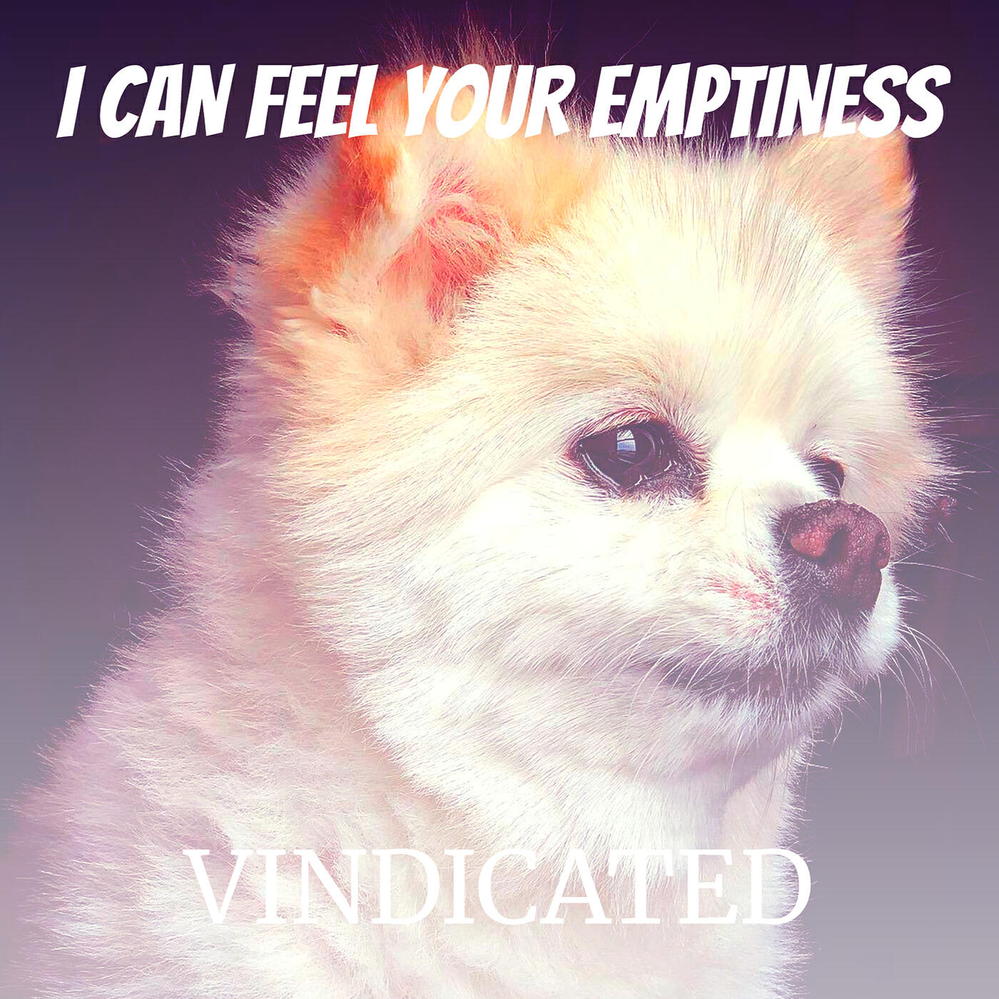 Vindicated