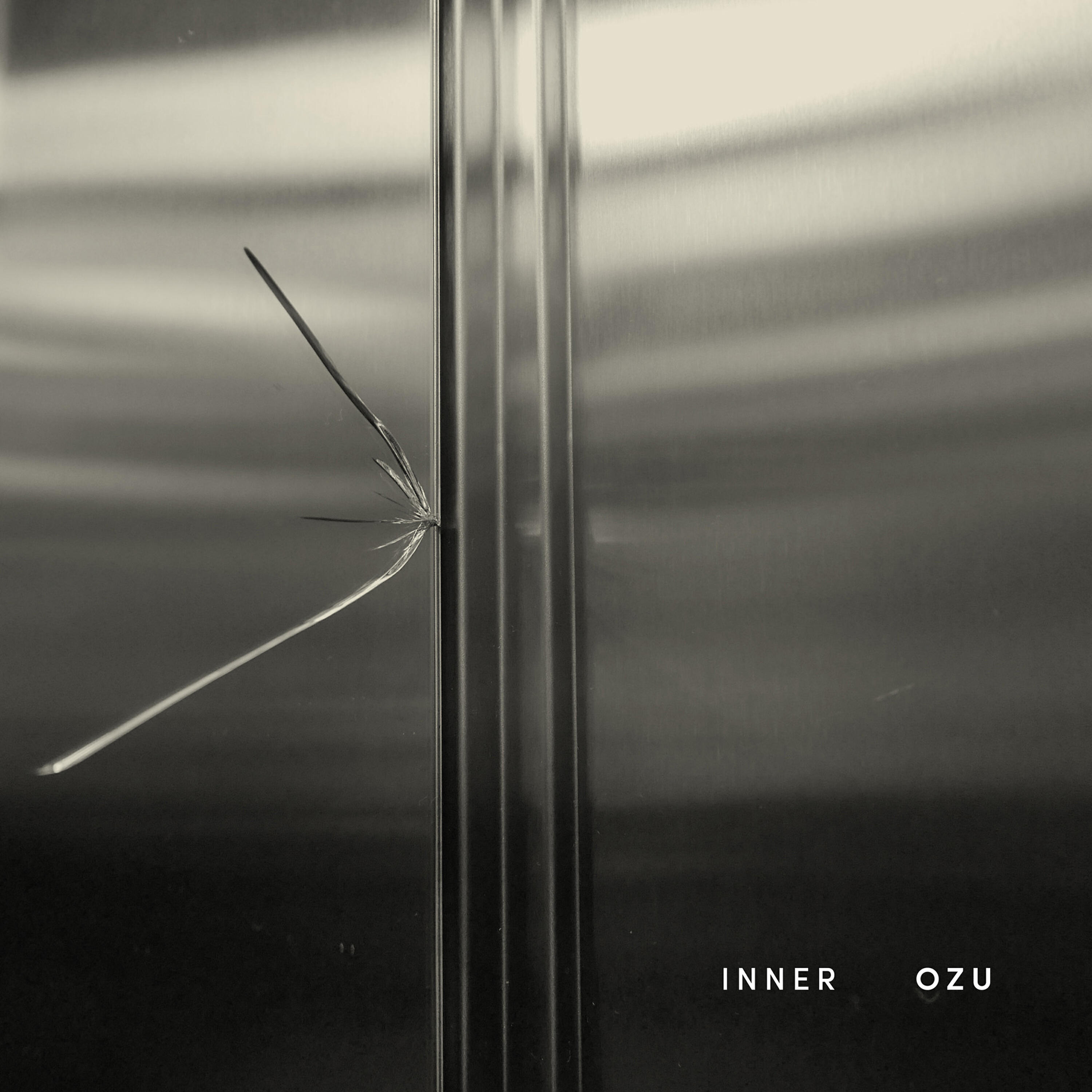 Релиз Inner