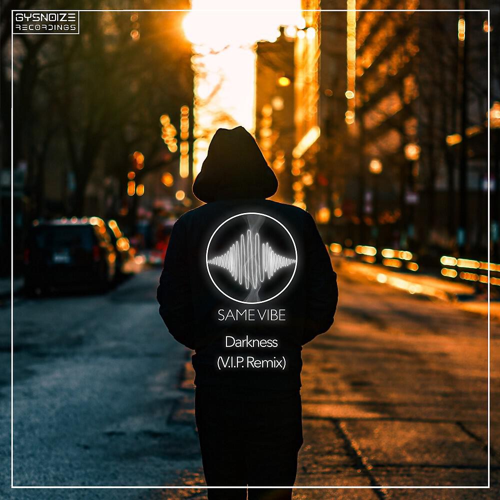 Релиз Darkness (VIP Remix)