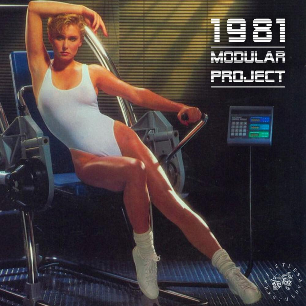 Релиз 1981 (Sisters & Brothers Vol. 06)