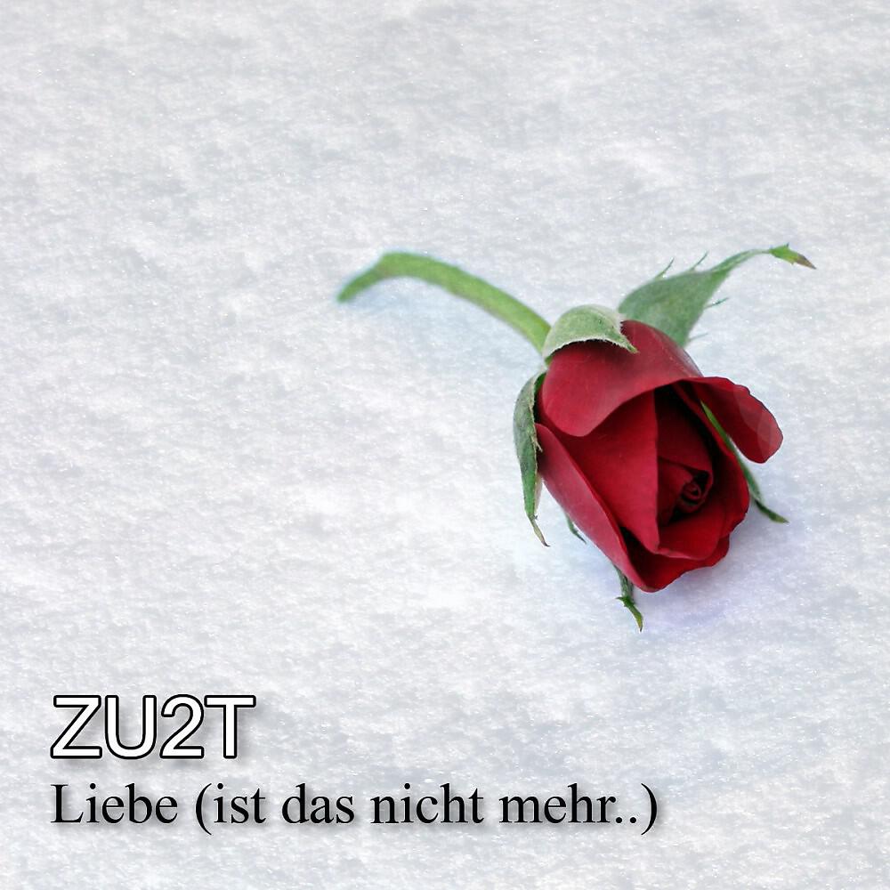 ZU2T