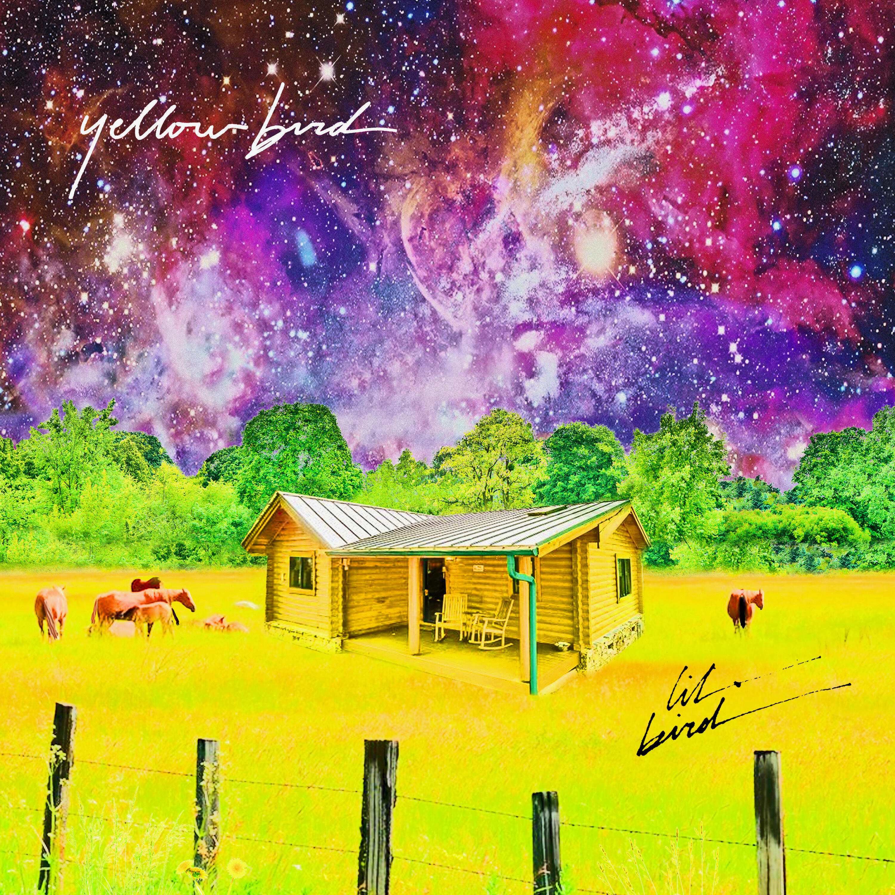 Релиз YellowBird