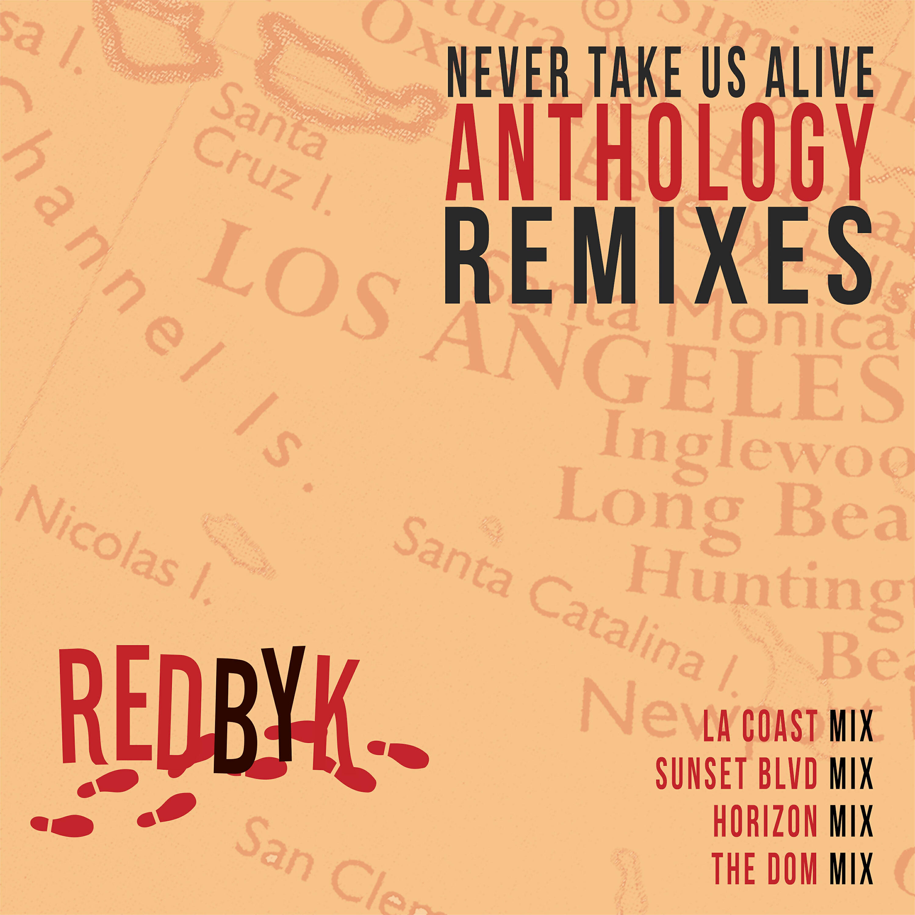 Релиз Never Take Us Alive