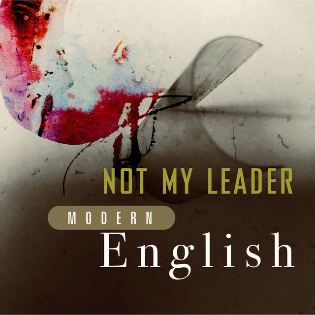 Постер альбома Not My Leader