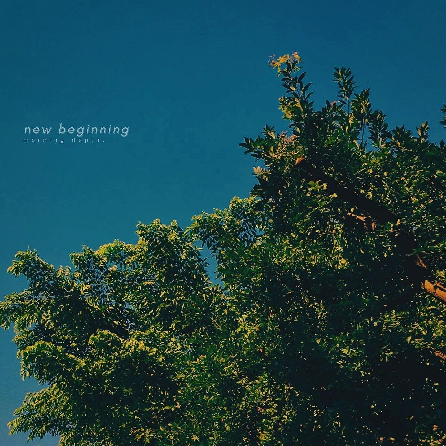 Релиз New Beginning