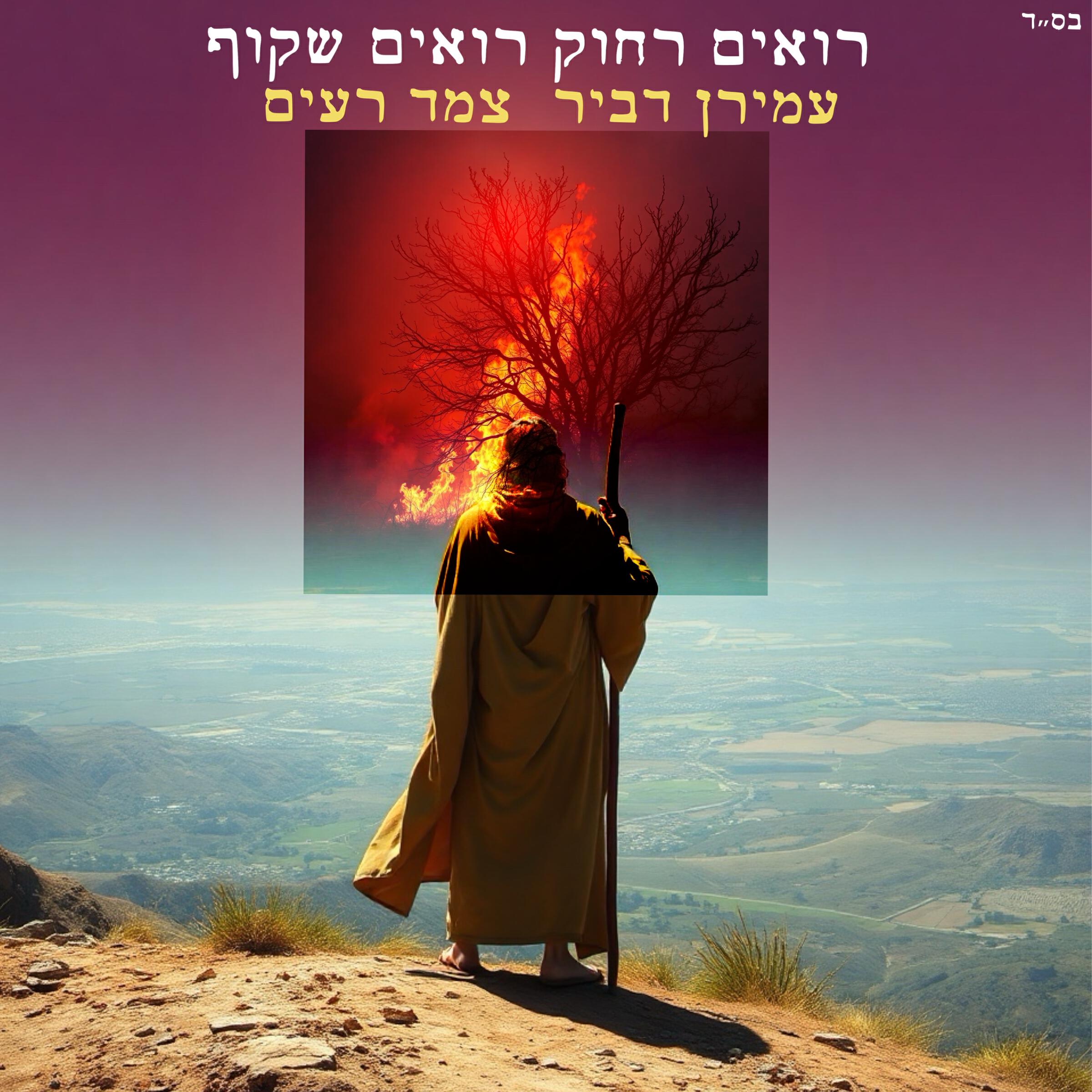 צמד רעים