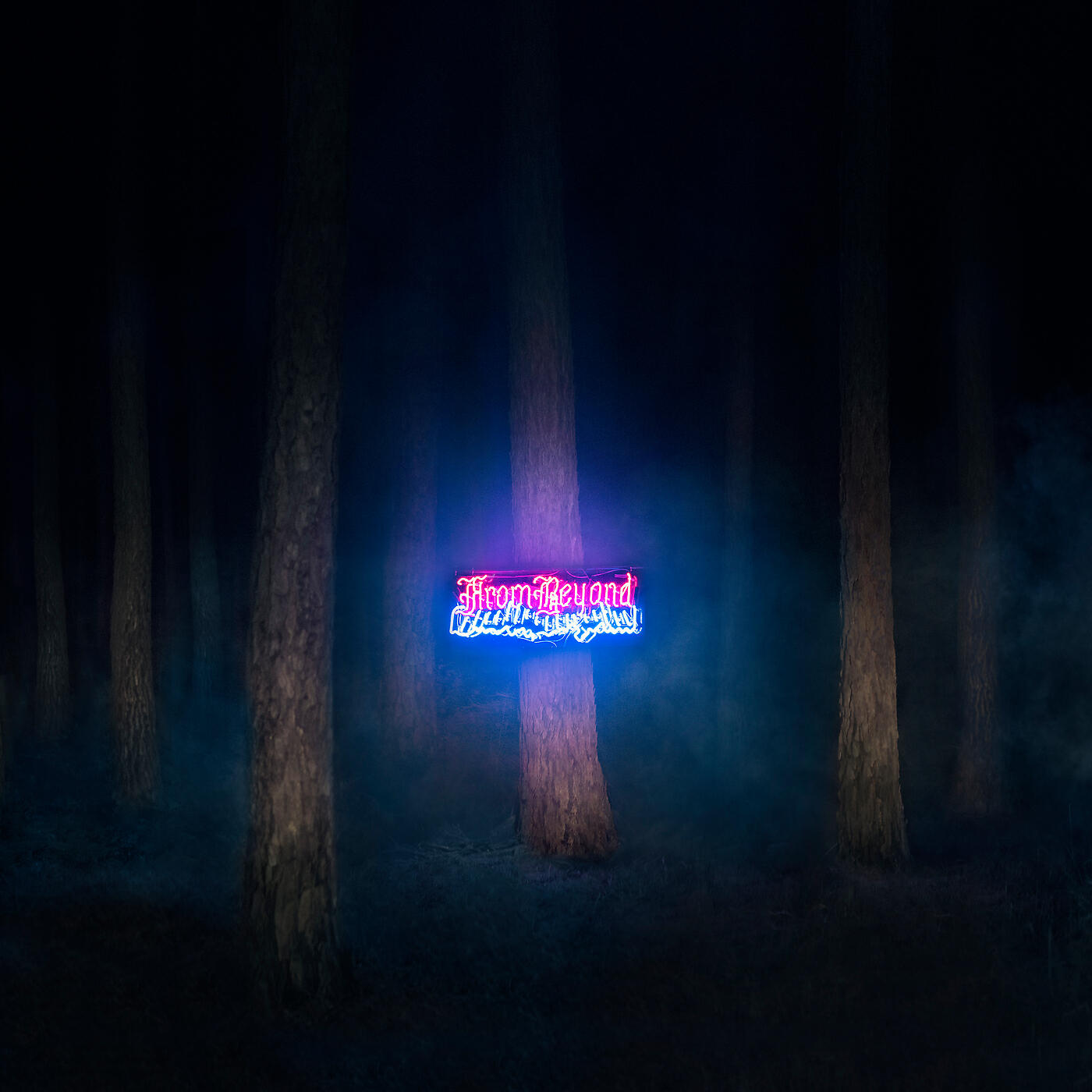 Релиз The Slip