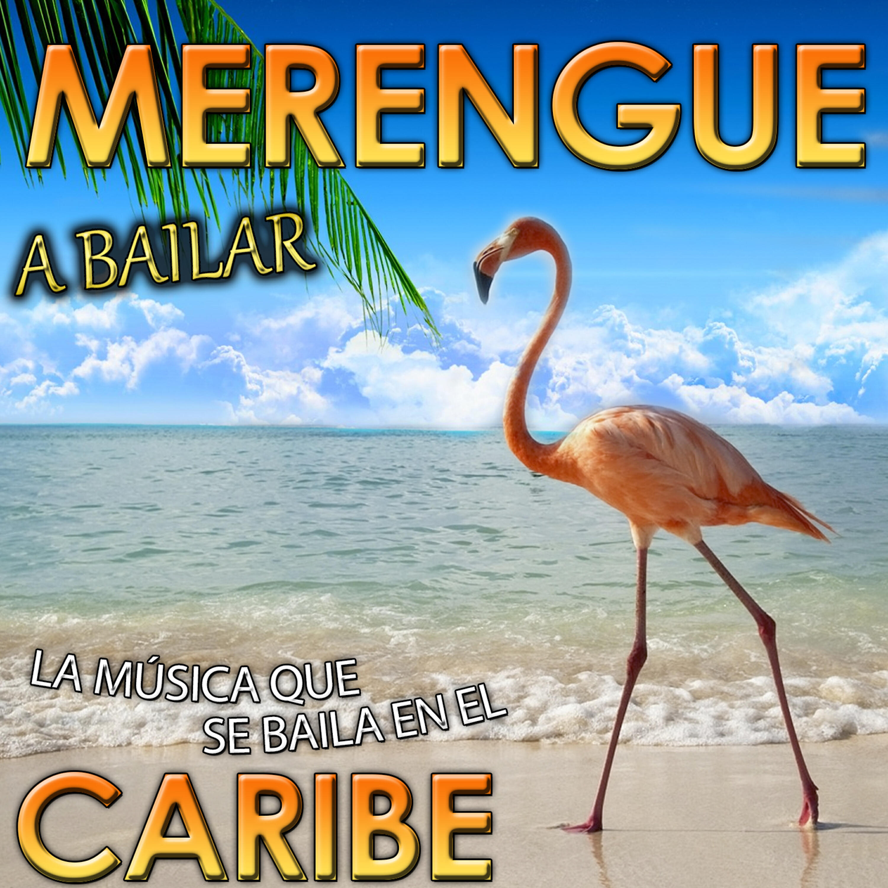 Релиз A Bailar Merengue. La Música Que Se Baila en el Caribe