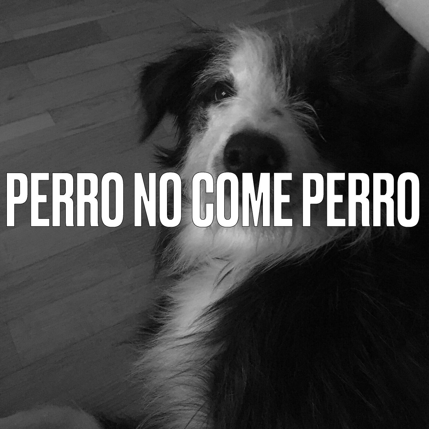 Релиз Perro no come perro