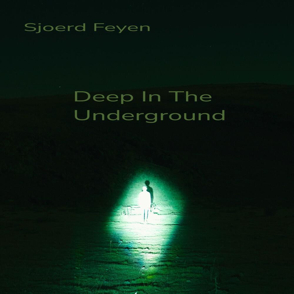 Sjoerd Feyen