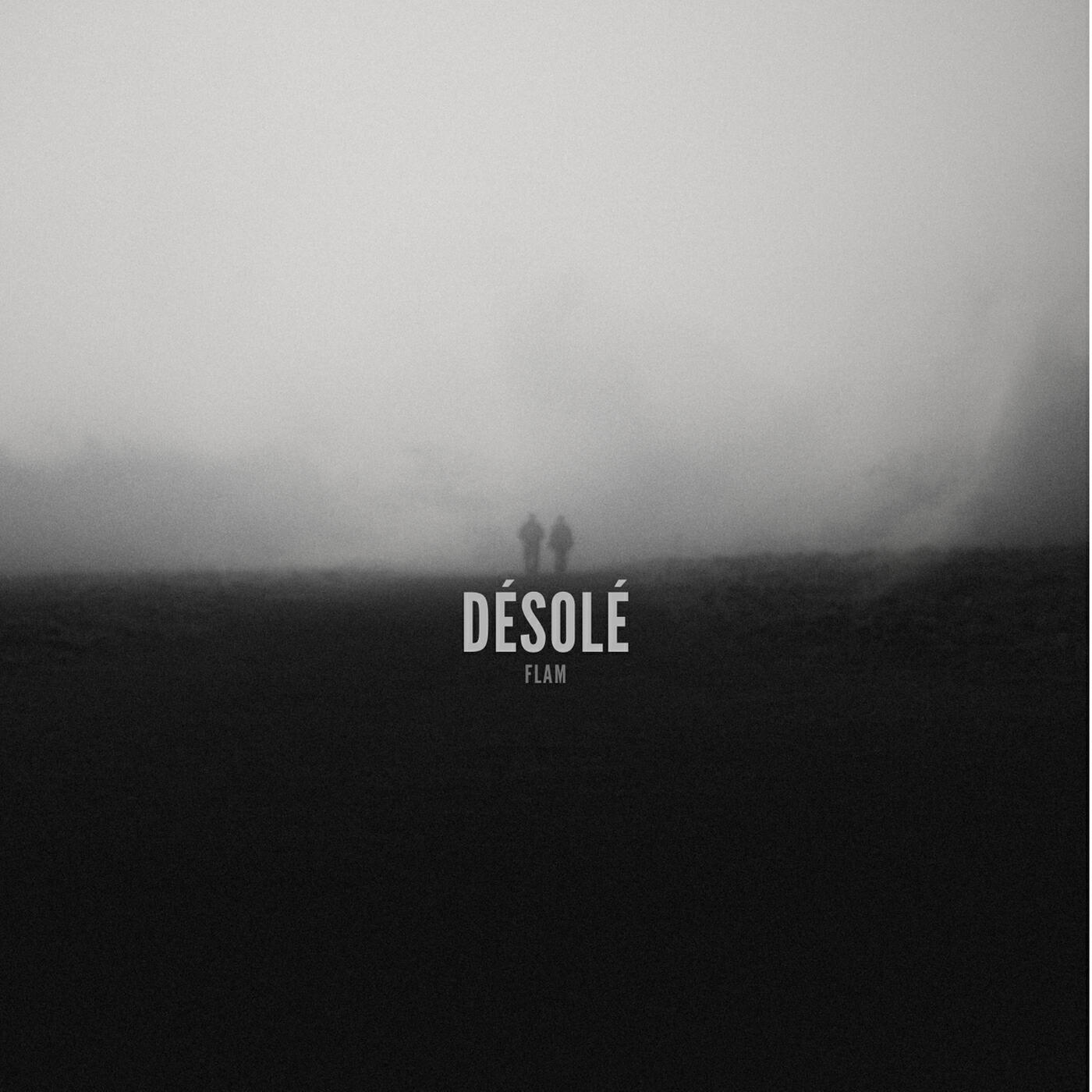 Релиз Désolé