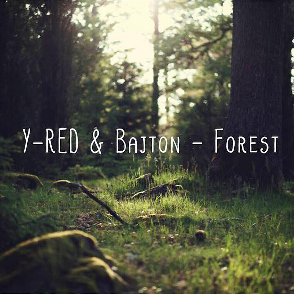 Релиз Forest