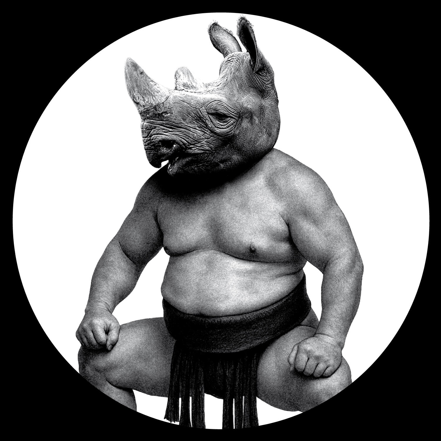 Релиз Between Sand and Roses