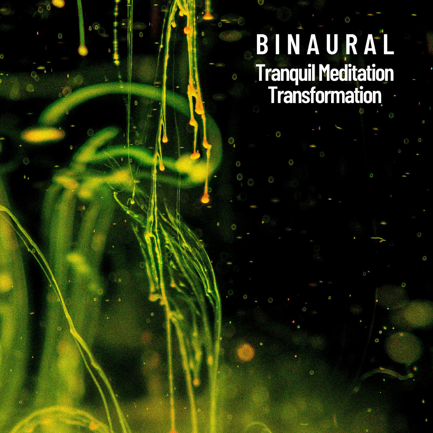 Релиз Binaural: Tranquil Meditation Transformation