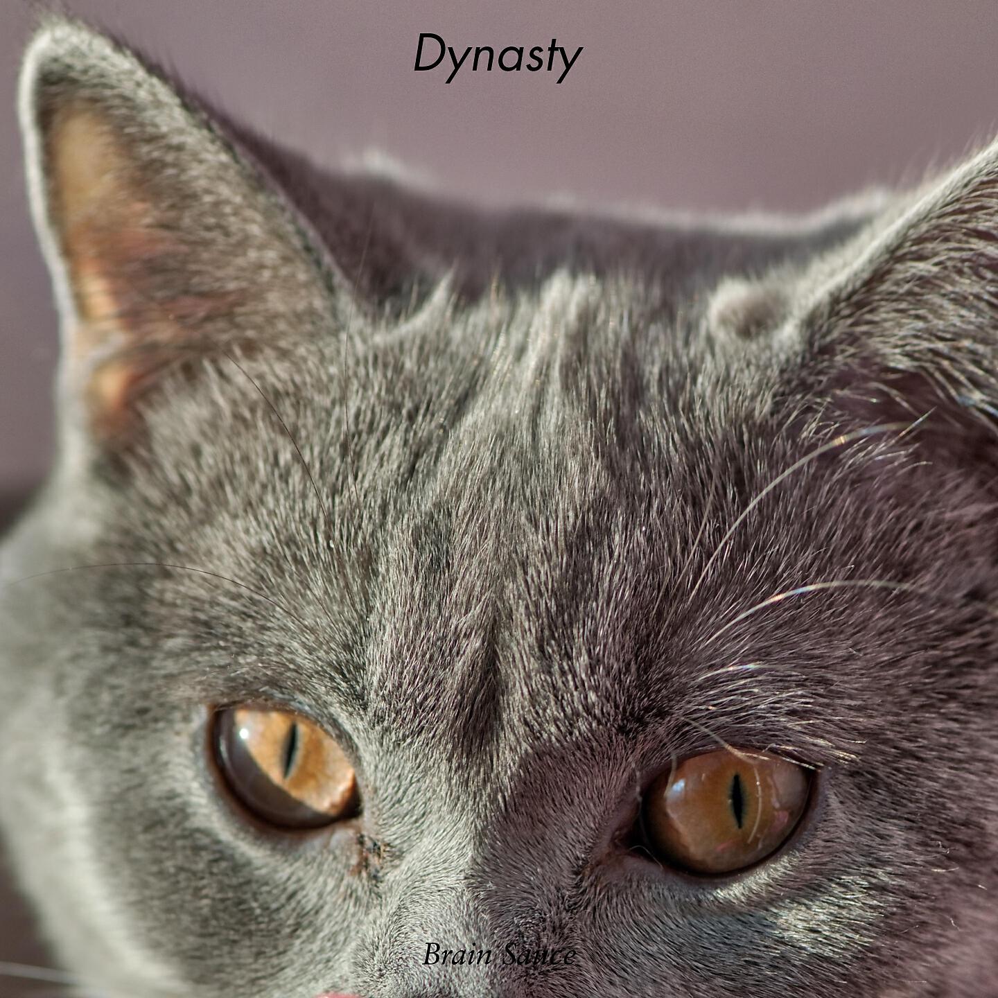 Релиз Dynasty
