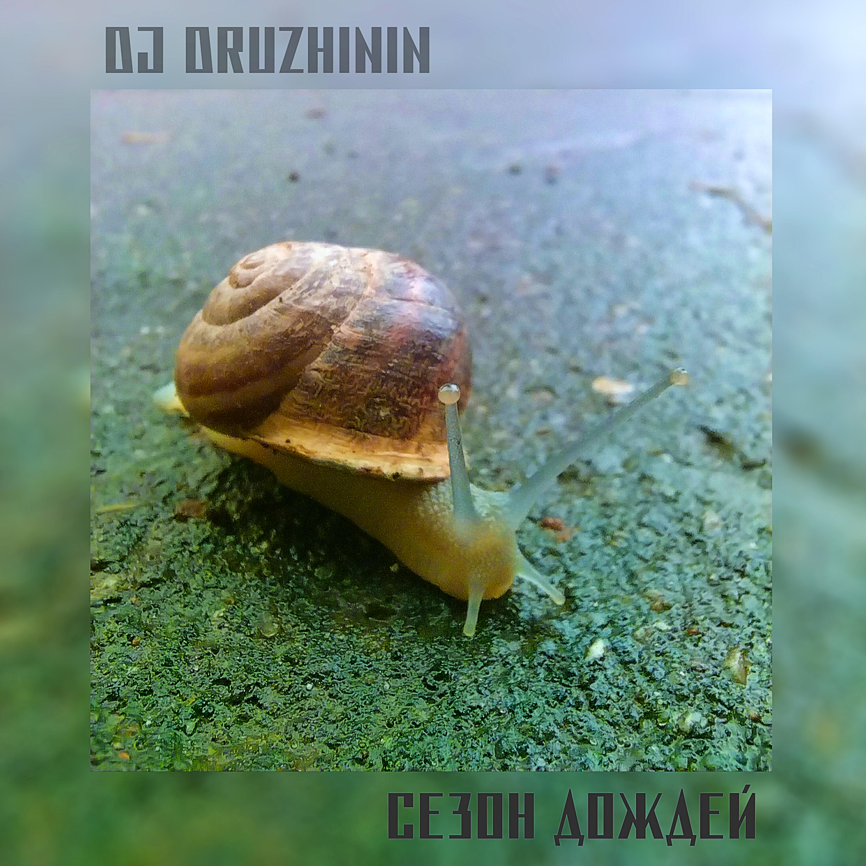 Dj Druzhinin