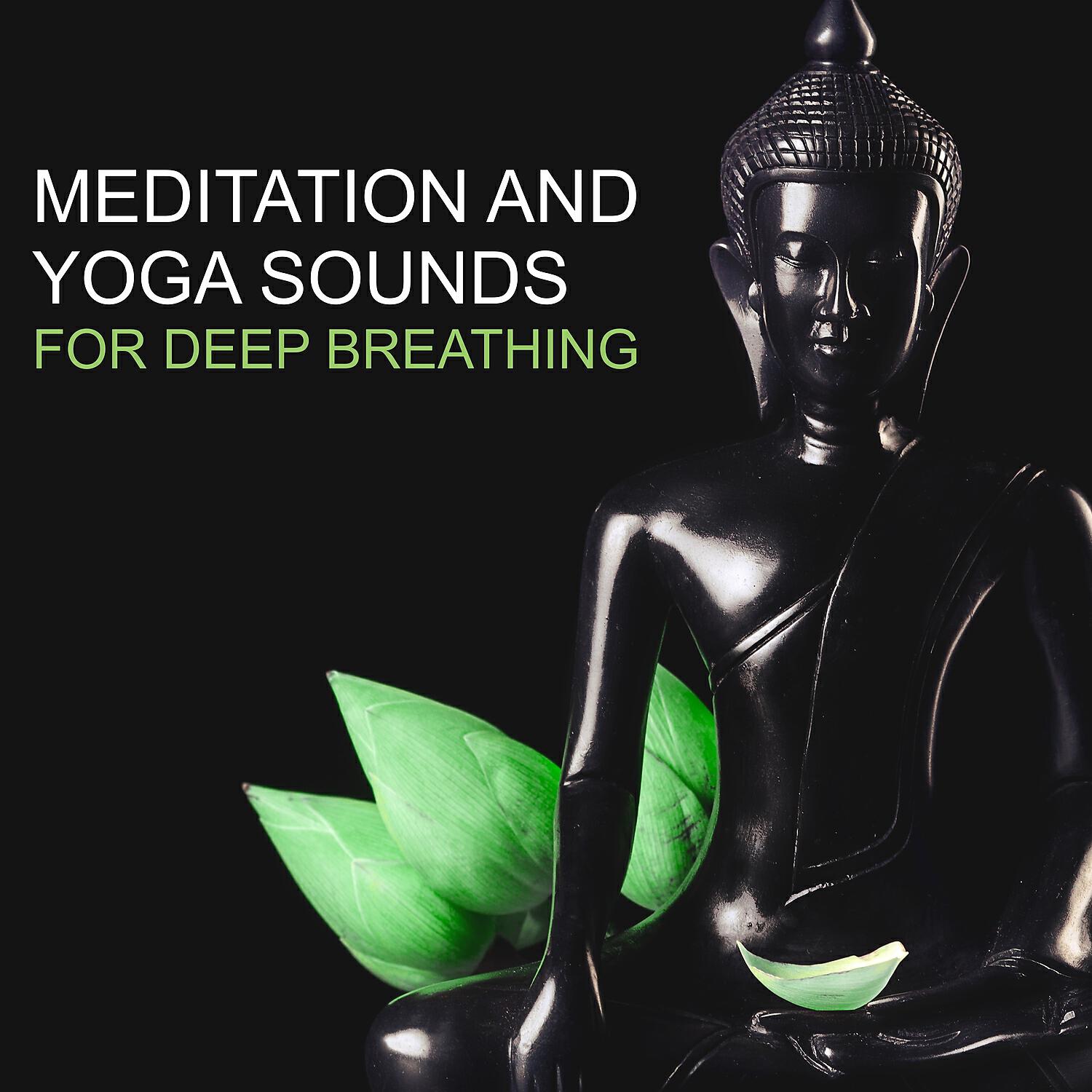 Релиз Mediation and Yoga Sounds for Deep Breathing – Life with Harmony, Healing Reiki, Find Your Natural Balance and Inner Peace
