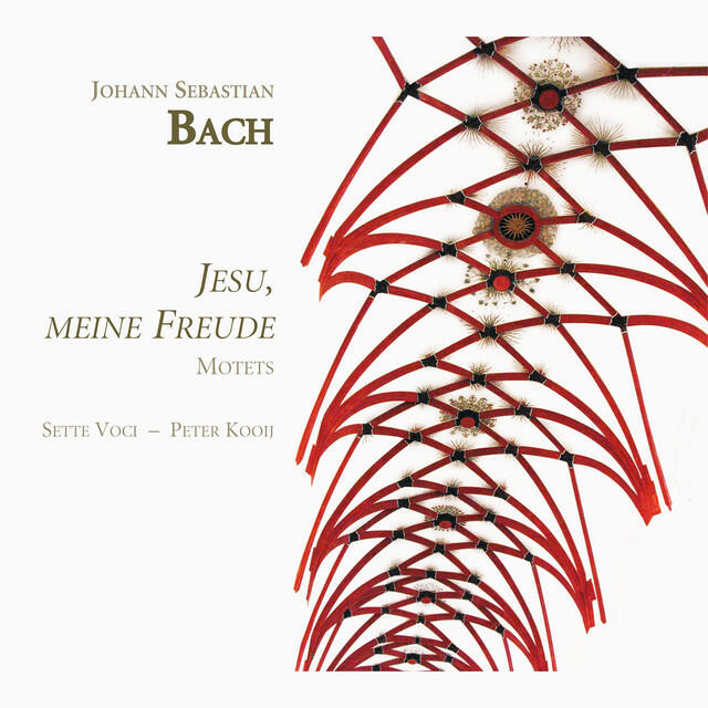 Постер альбома Bach: Jesu, meine Freude (Motets)