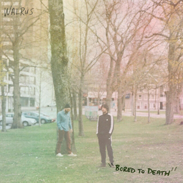 Релиз Bored to Death