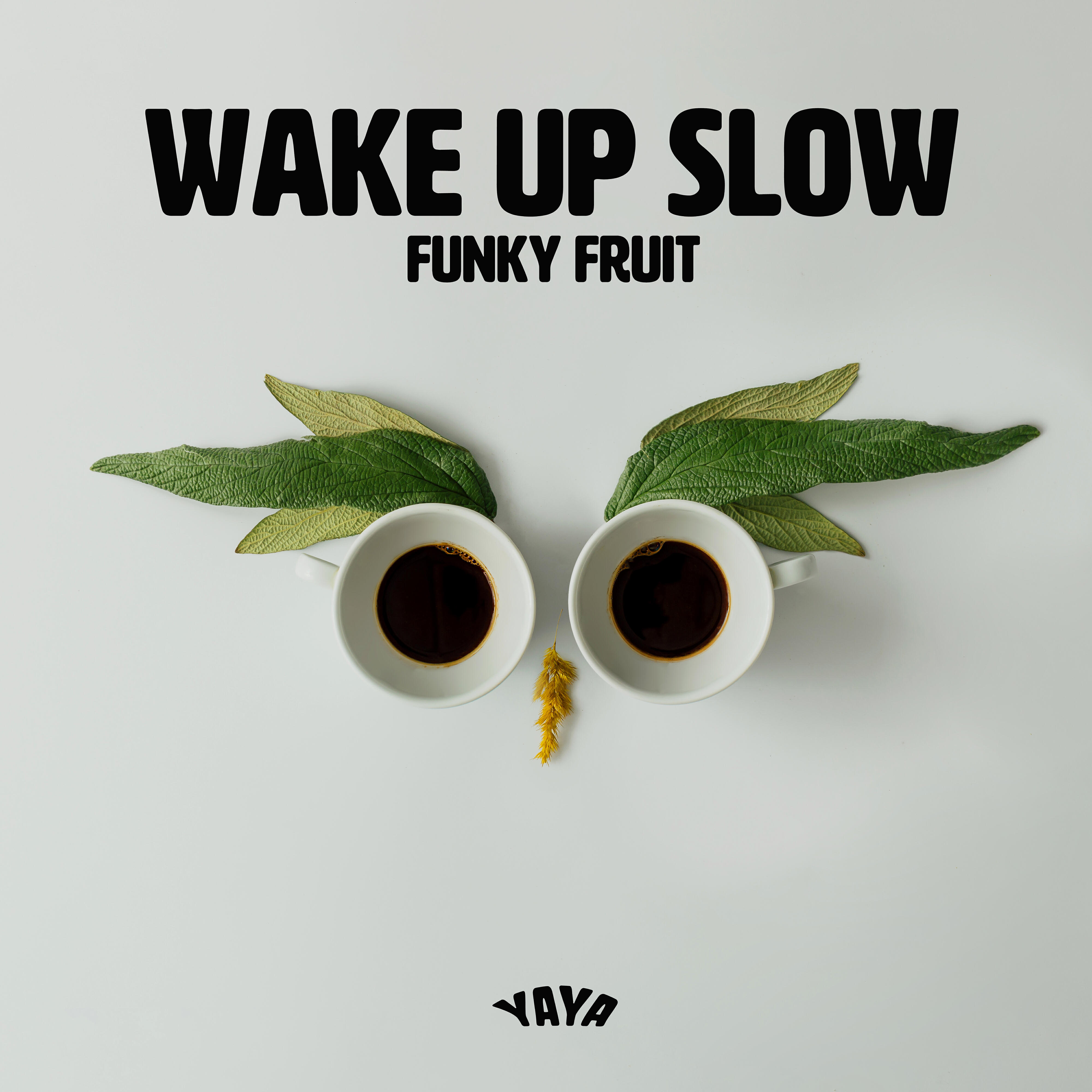 Релиз Wake Up Slow