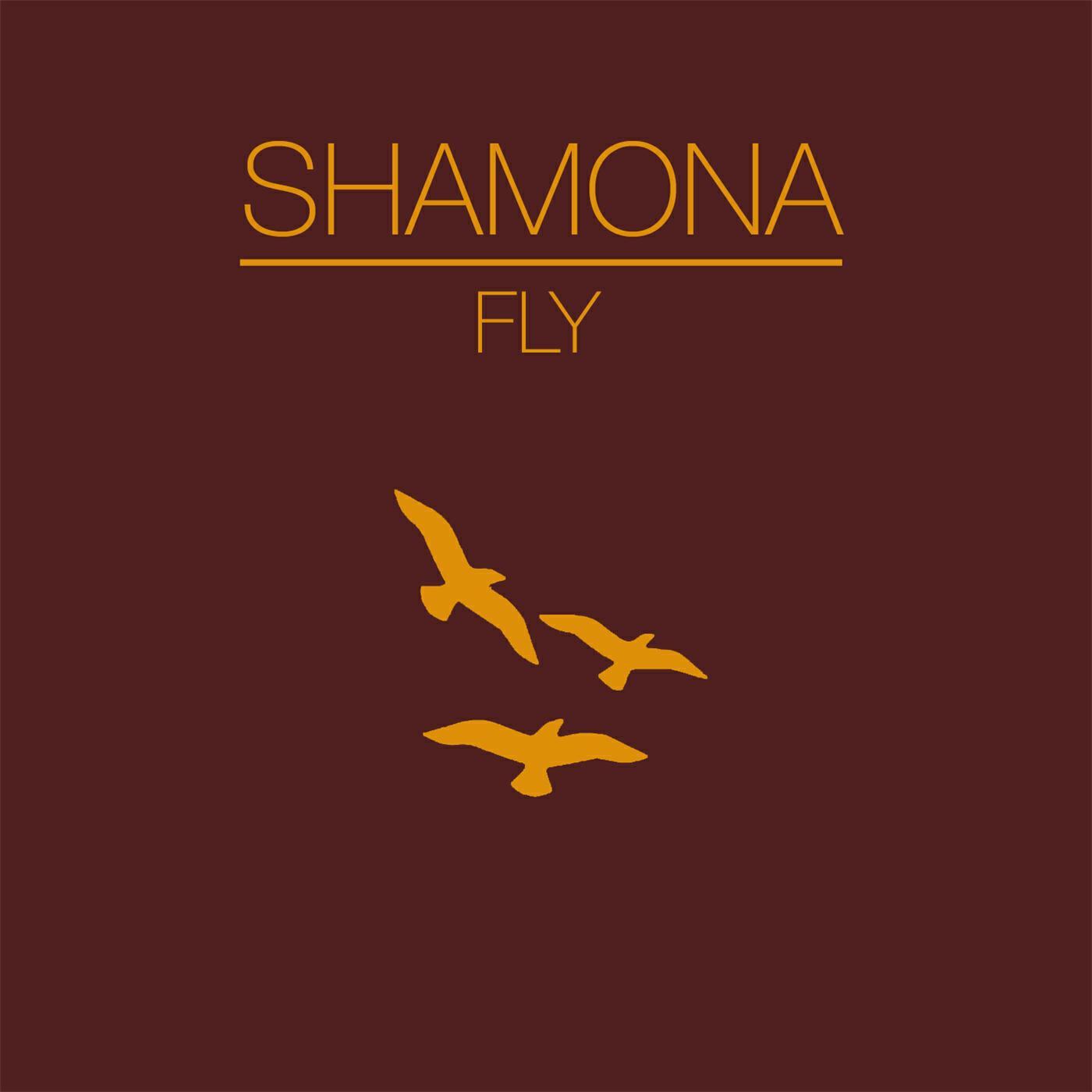 Релиз Fly - EP