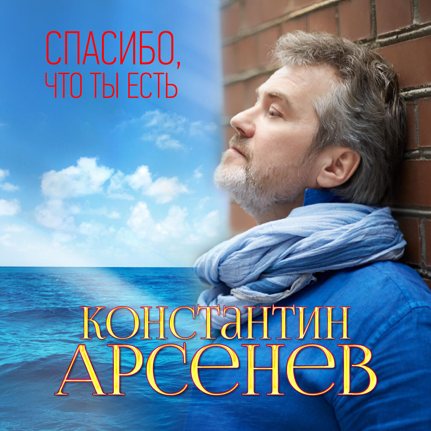 Постер альбома Спасибо, что ты есть