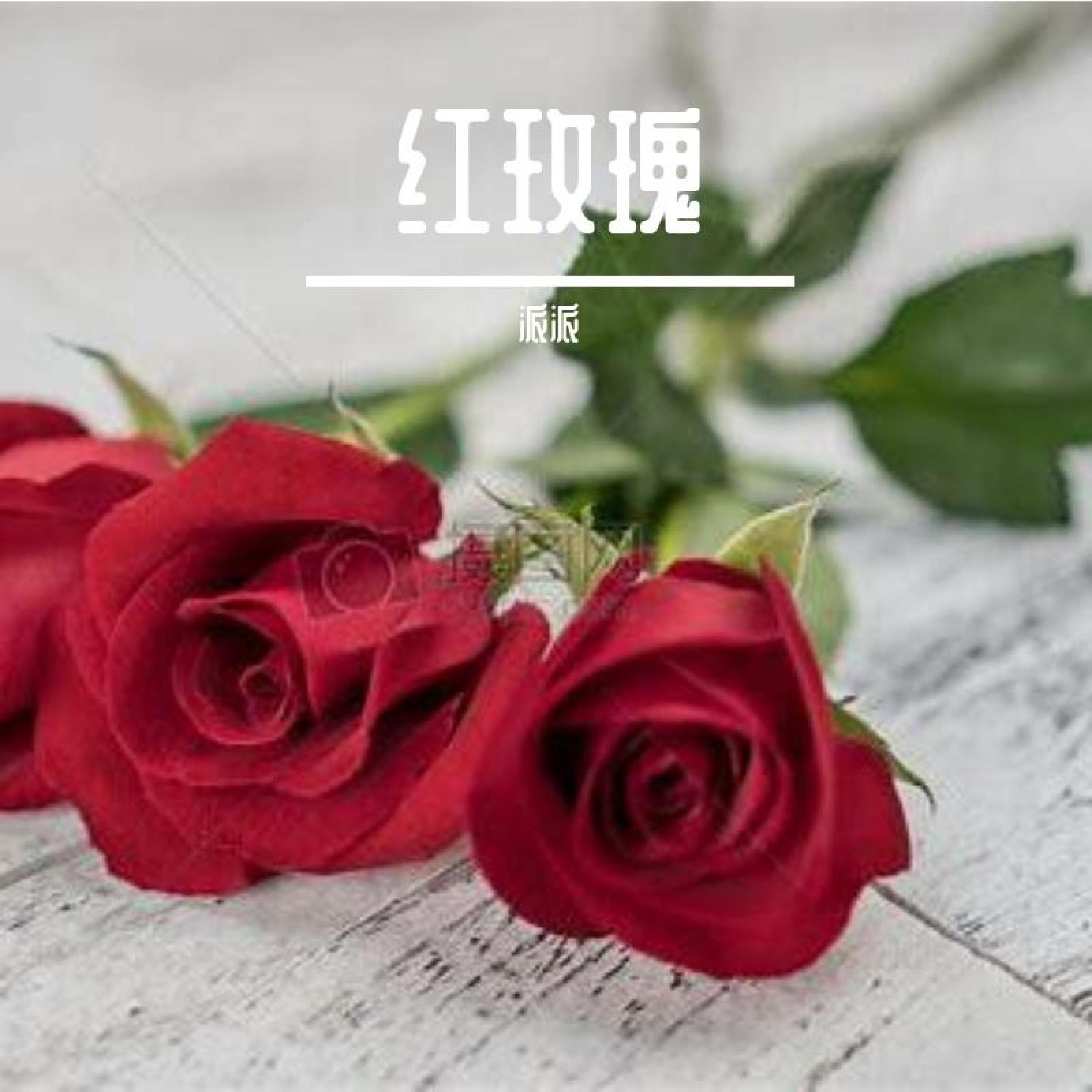 Релиз 红玫瑰