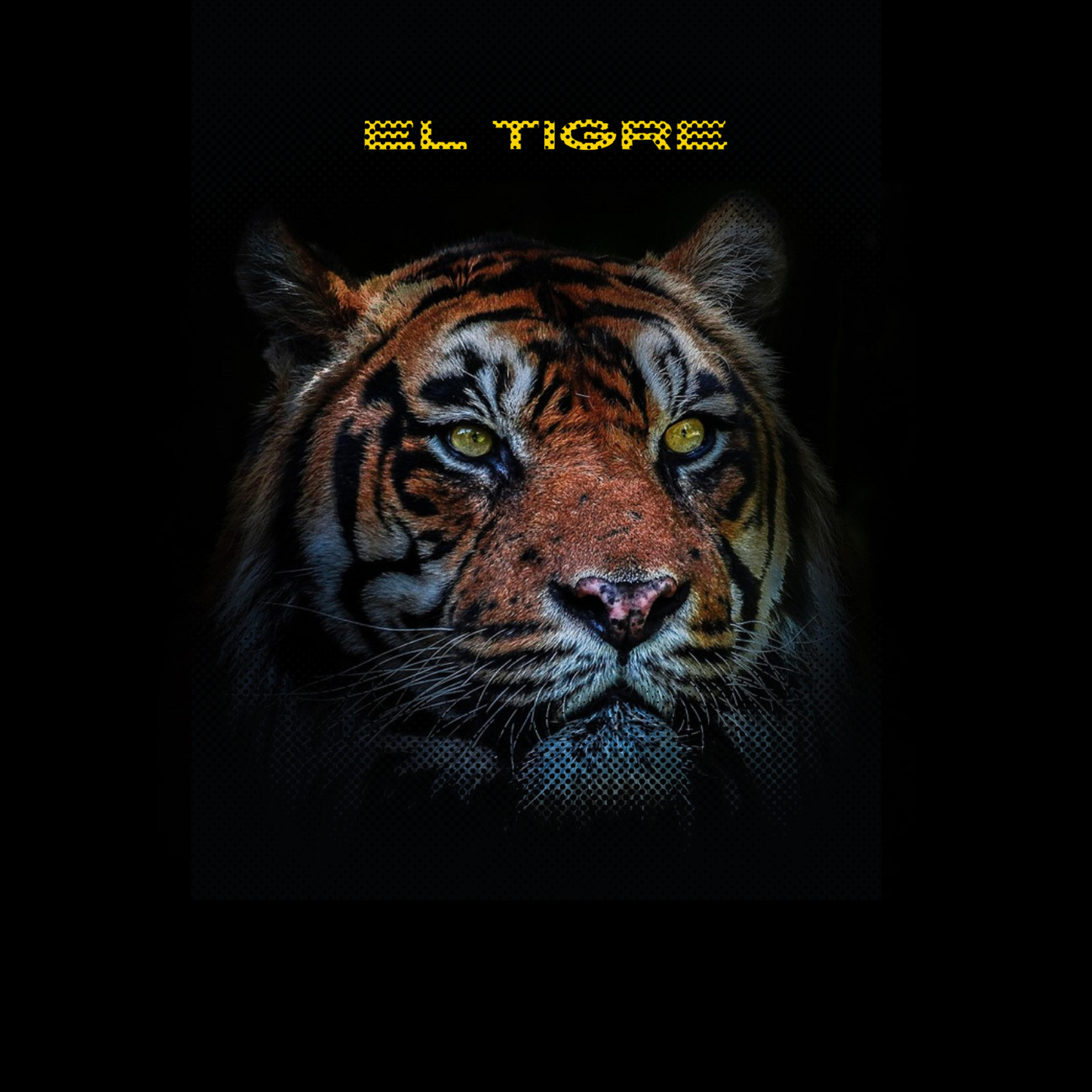 Релиз El Tigre