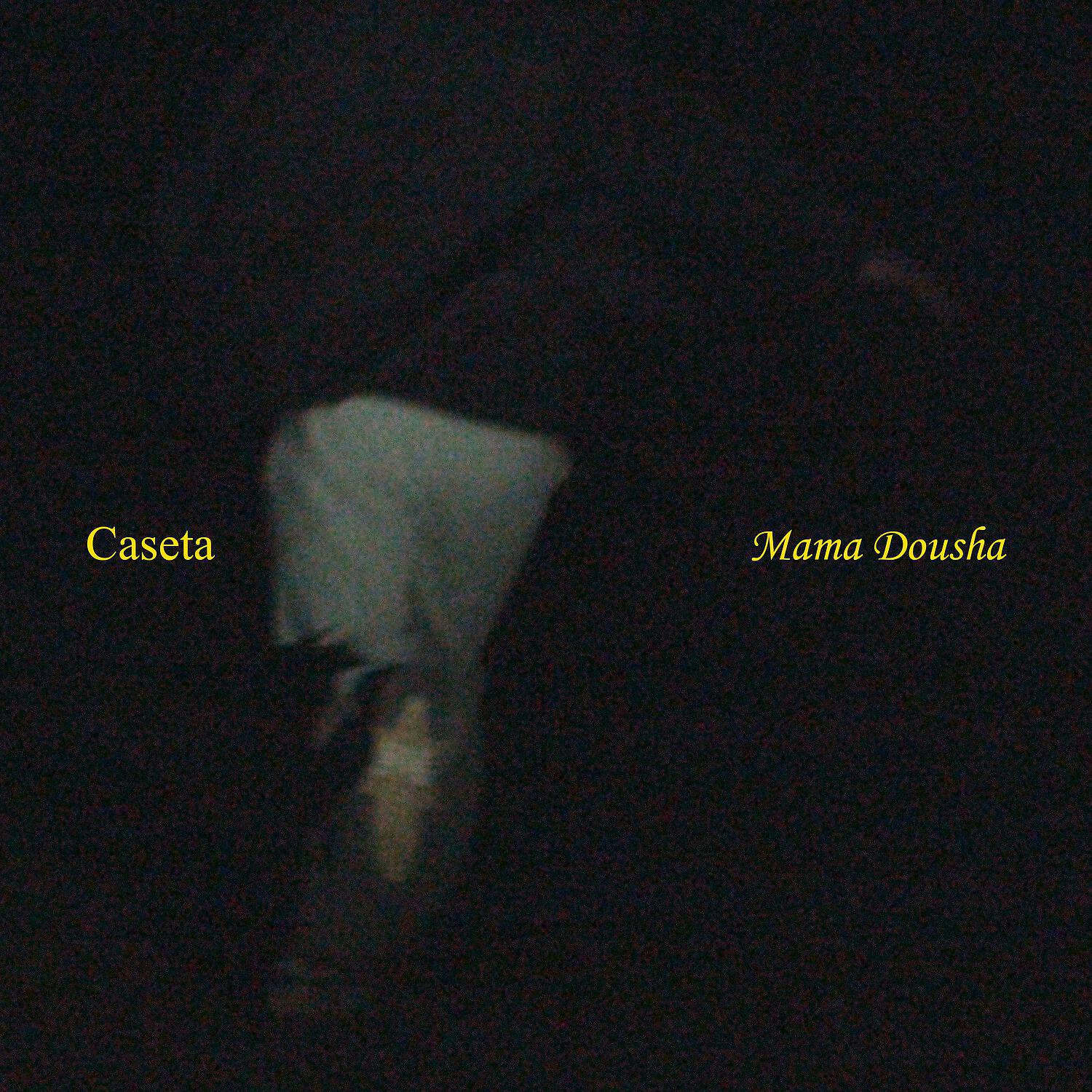 Релиз Caseta