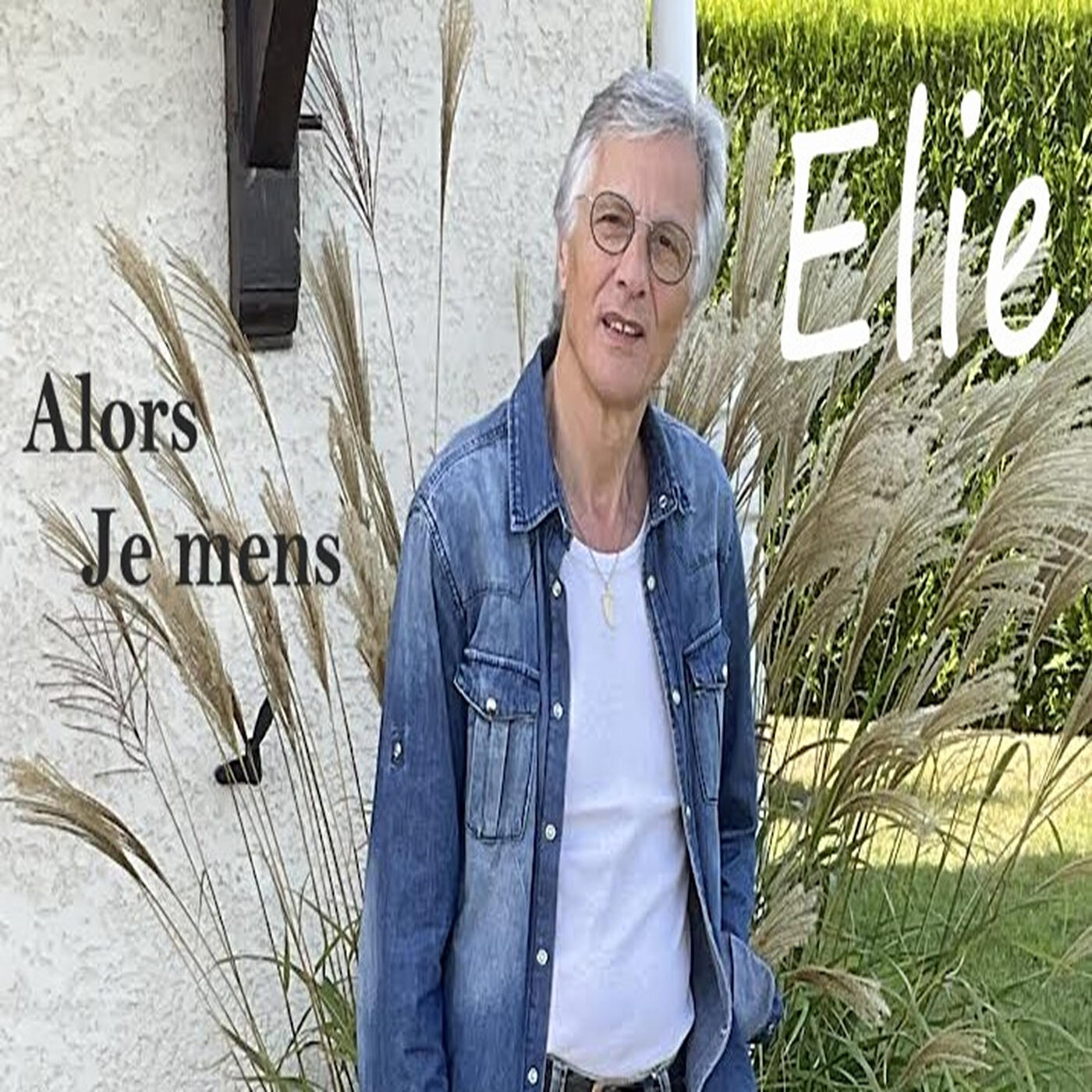 Постер альбома Alors je mens