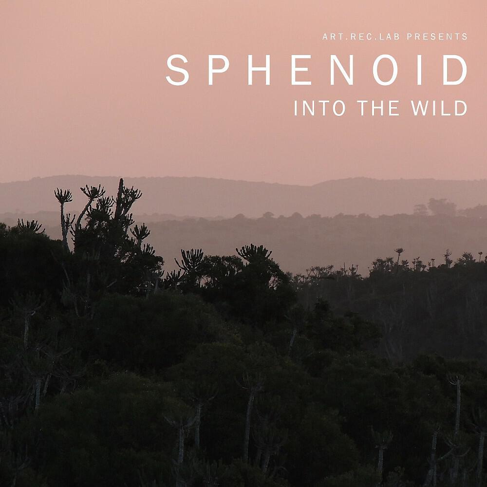Релиз Into the Wild - Single