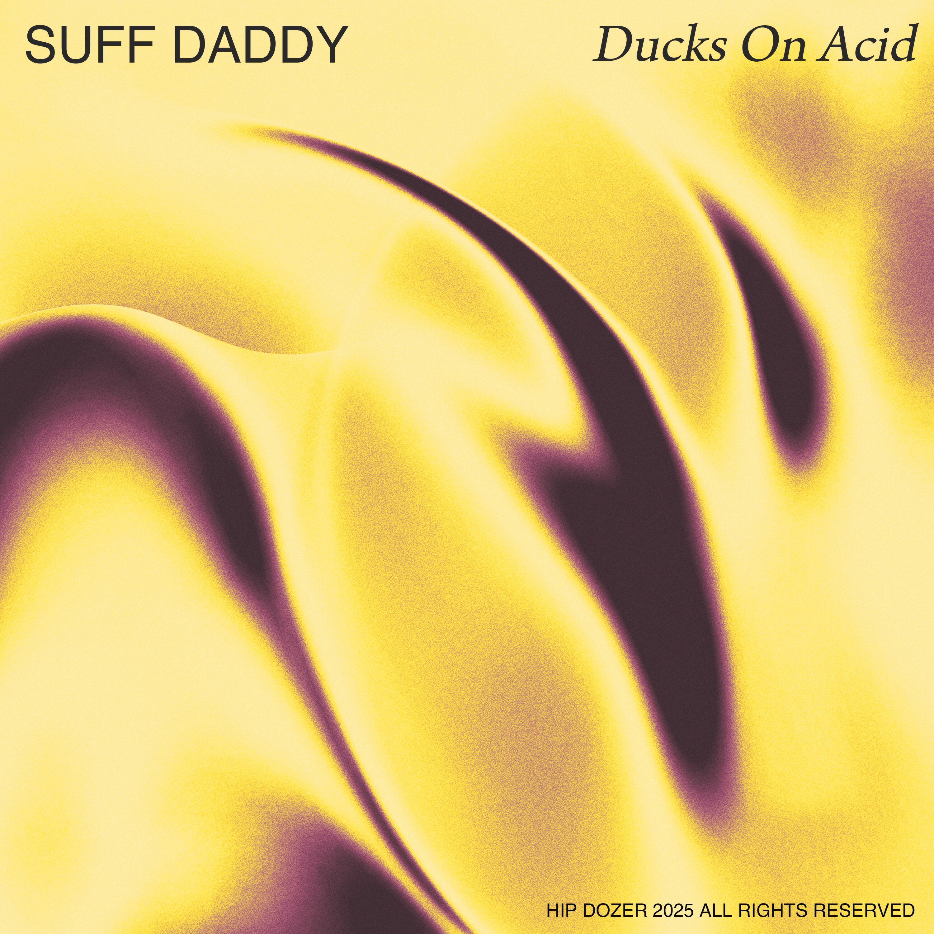 Релиз Ducks On Acid
