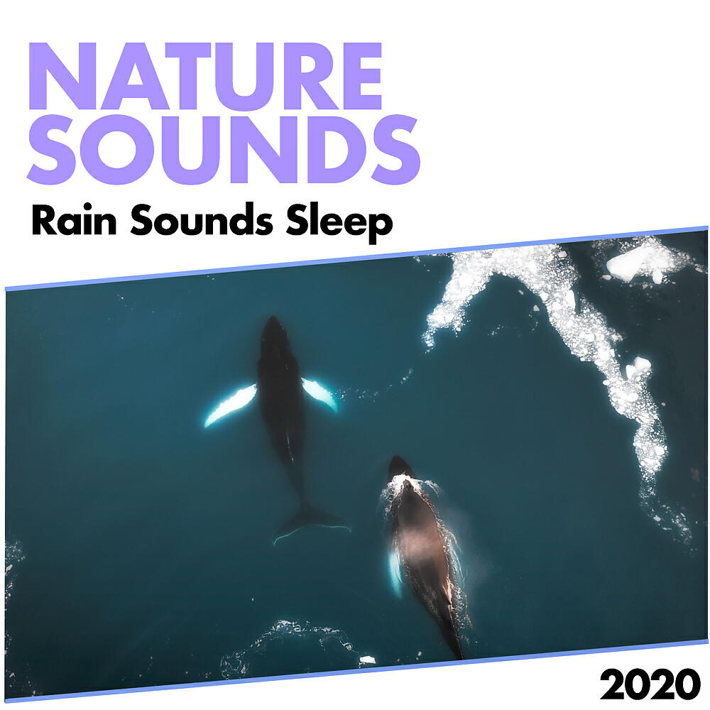 Релиз Nature Sounds