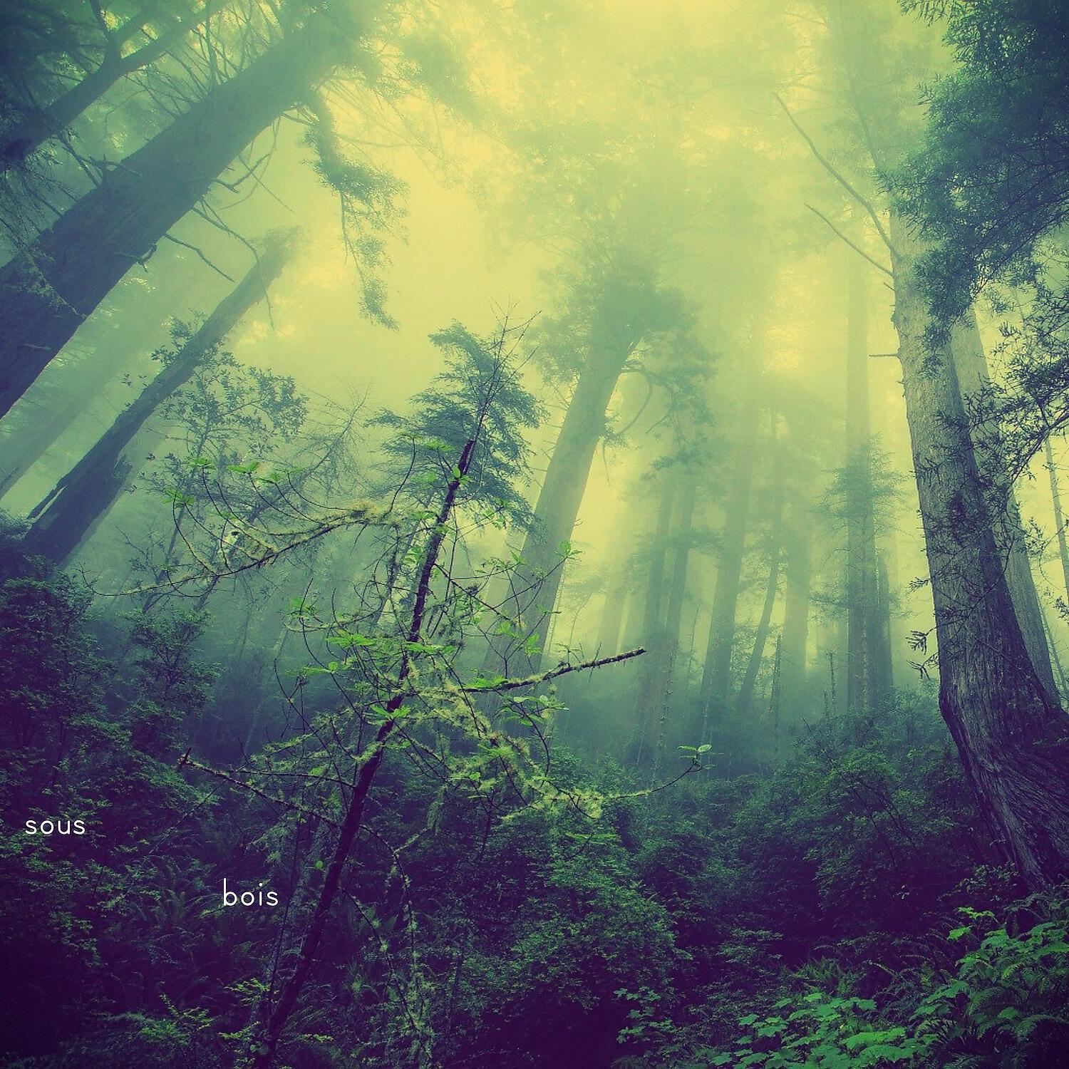 Релиз Sous Bois