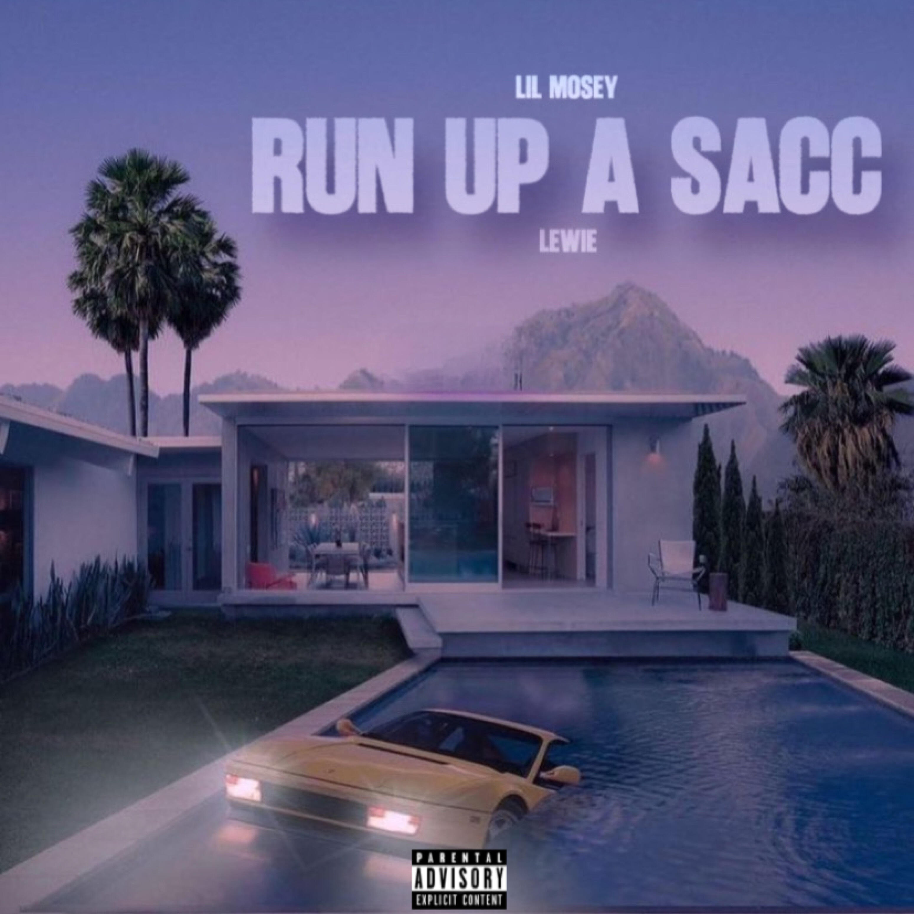 Постер альбома Run up a Sacc