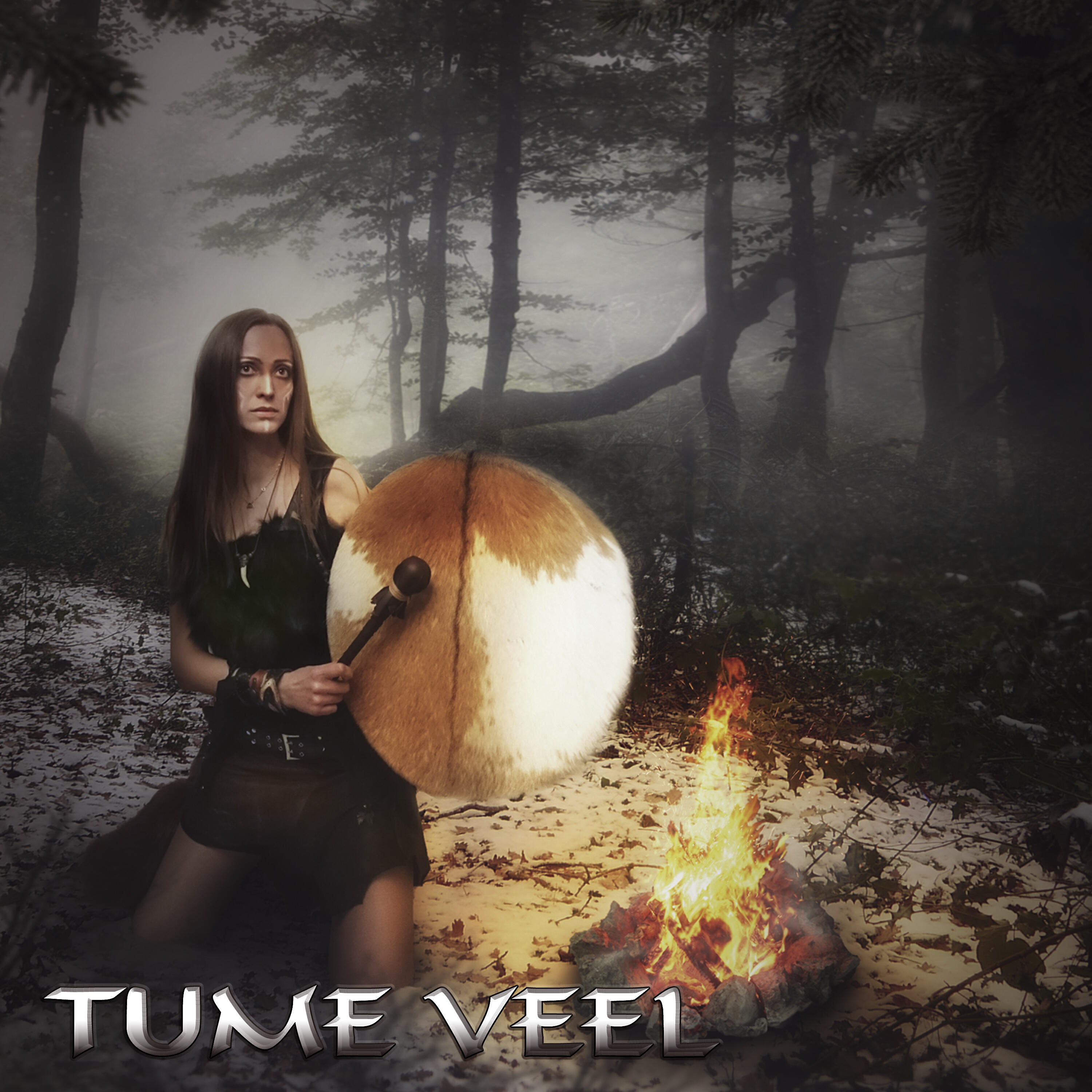 Постер альбома Tume Veel