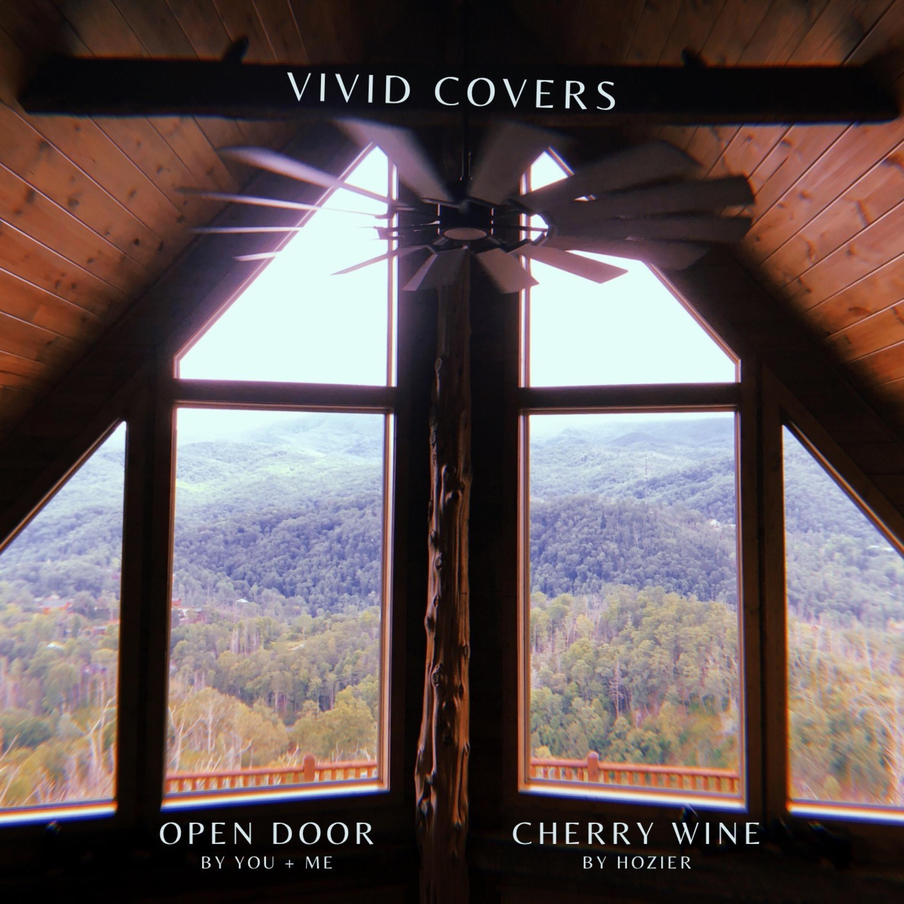 Релиз Covers