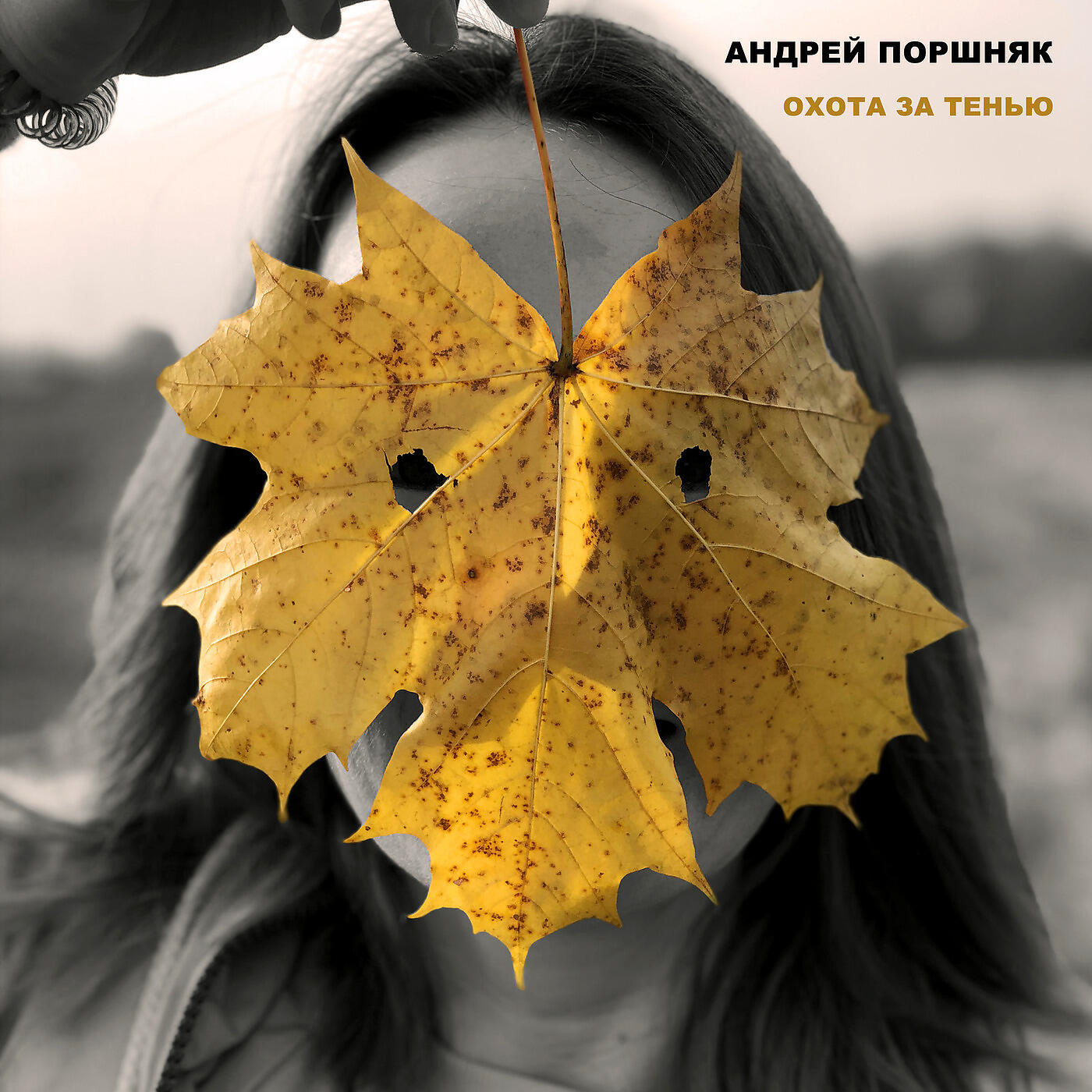 Релиз Охота За Тенью