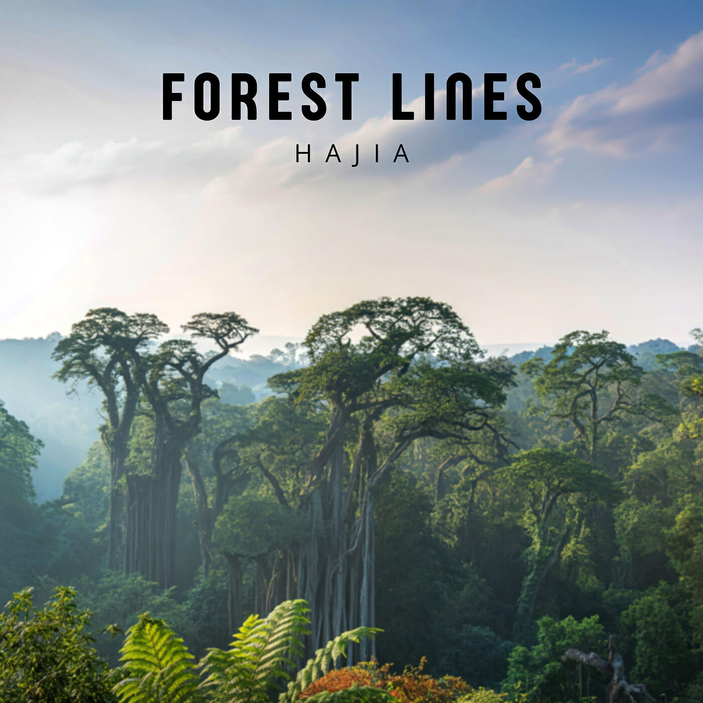 Релиз Forest Lines