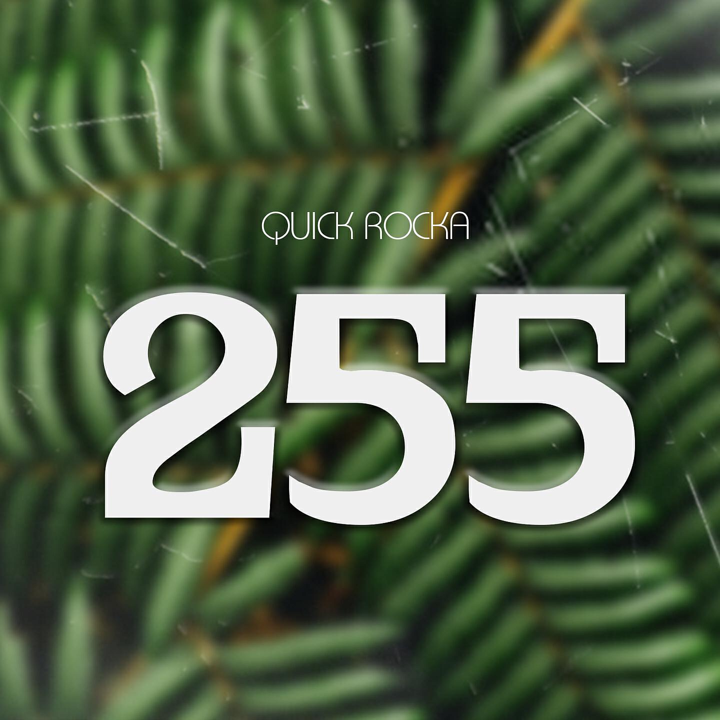 Релиз 255