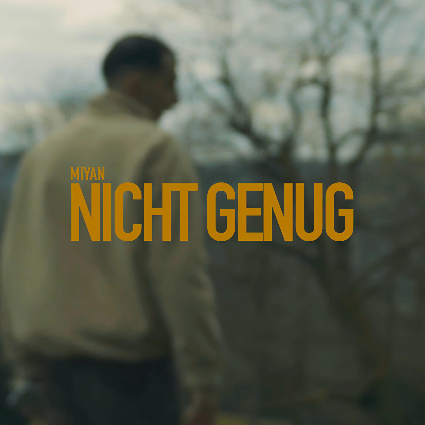 Релиз Nicht Genug