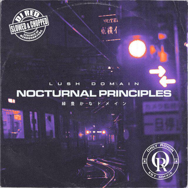 Релиз Nocturnal Principles (Slowed & Chopped)