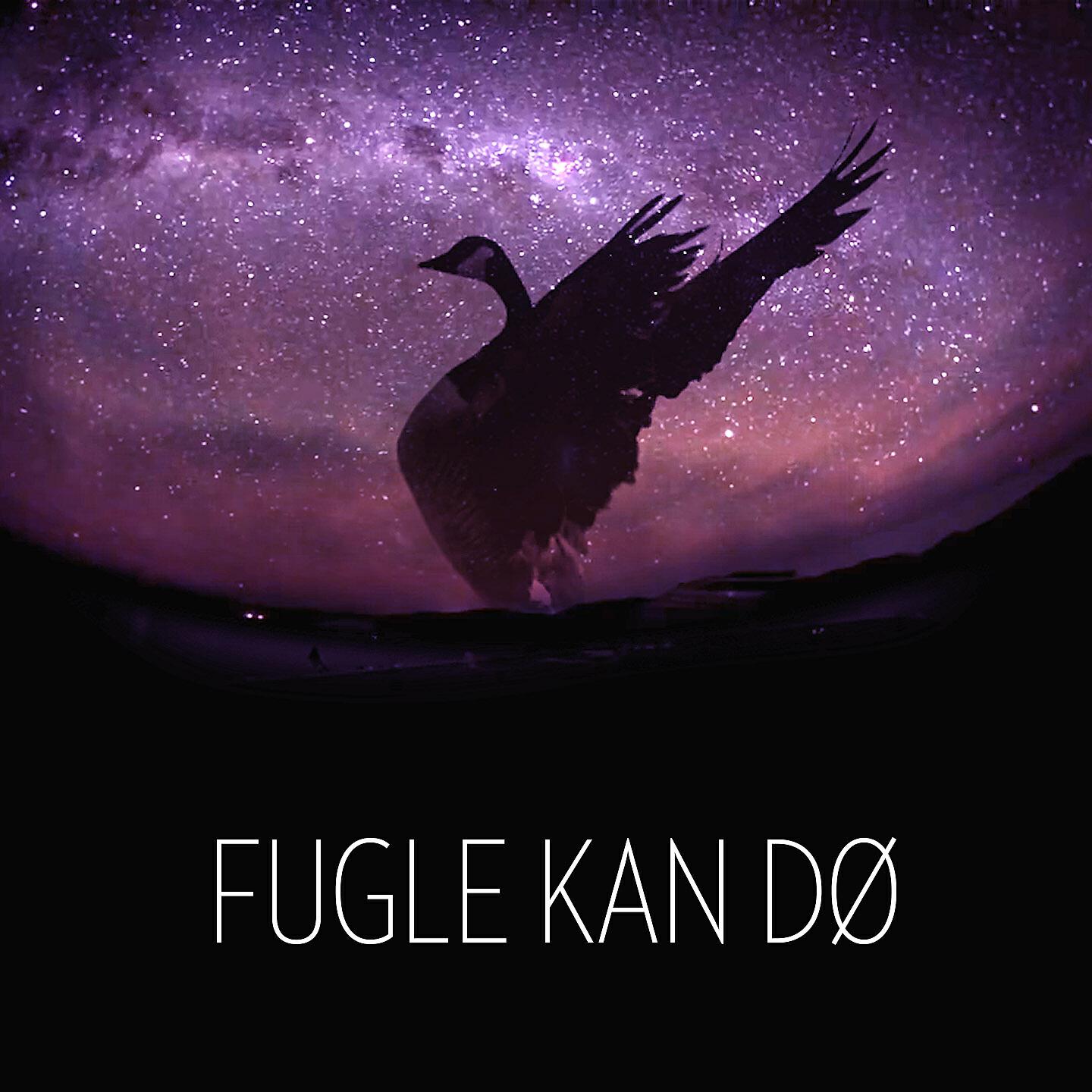 Релиз Fugle Kan Dø
