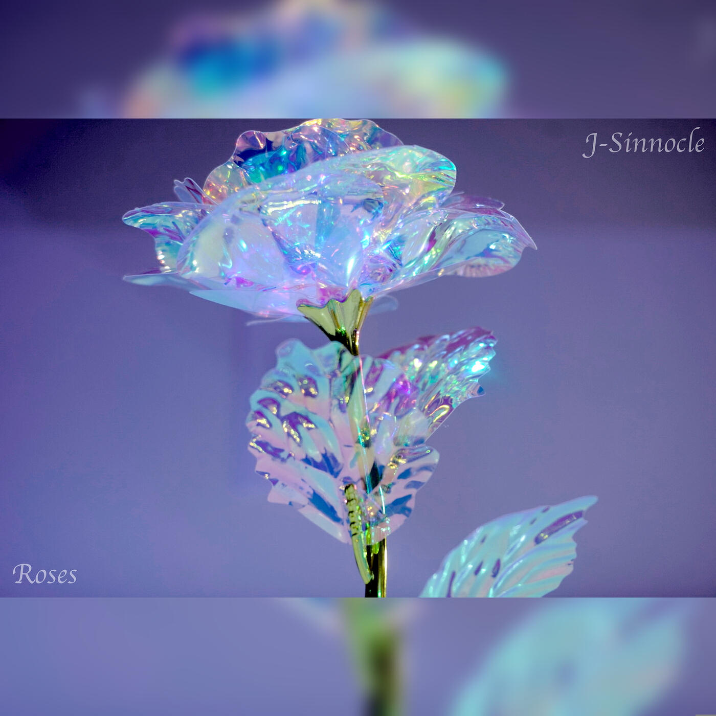 Релиз Roses