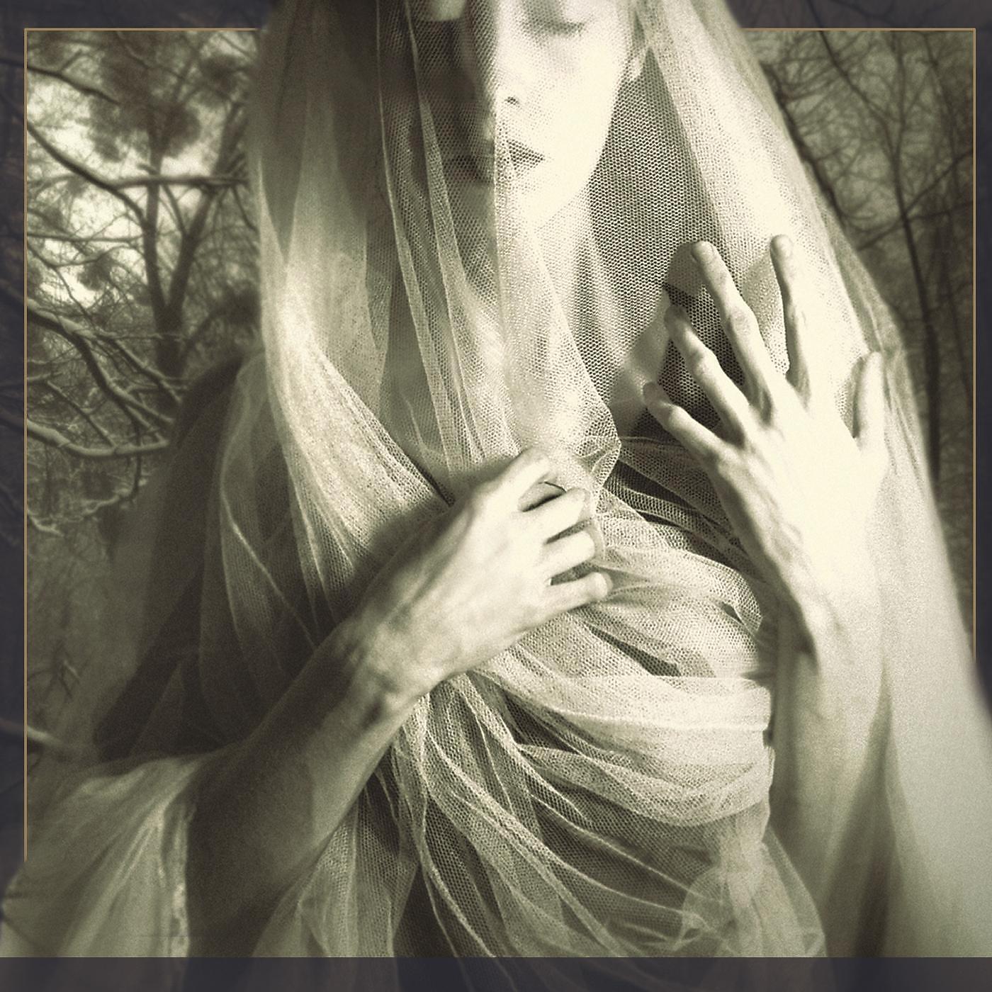 Постер альбома The Veil of Queen Mab