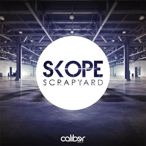 Постер альбома Scrapyard / When I Look At You