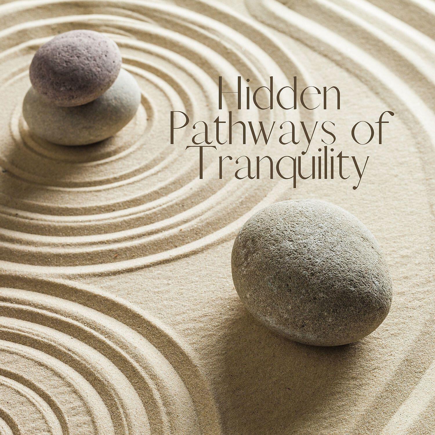 Релиз Hidden Pathways of Tranquility