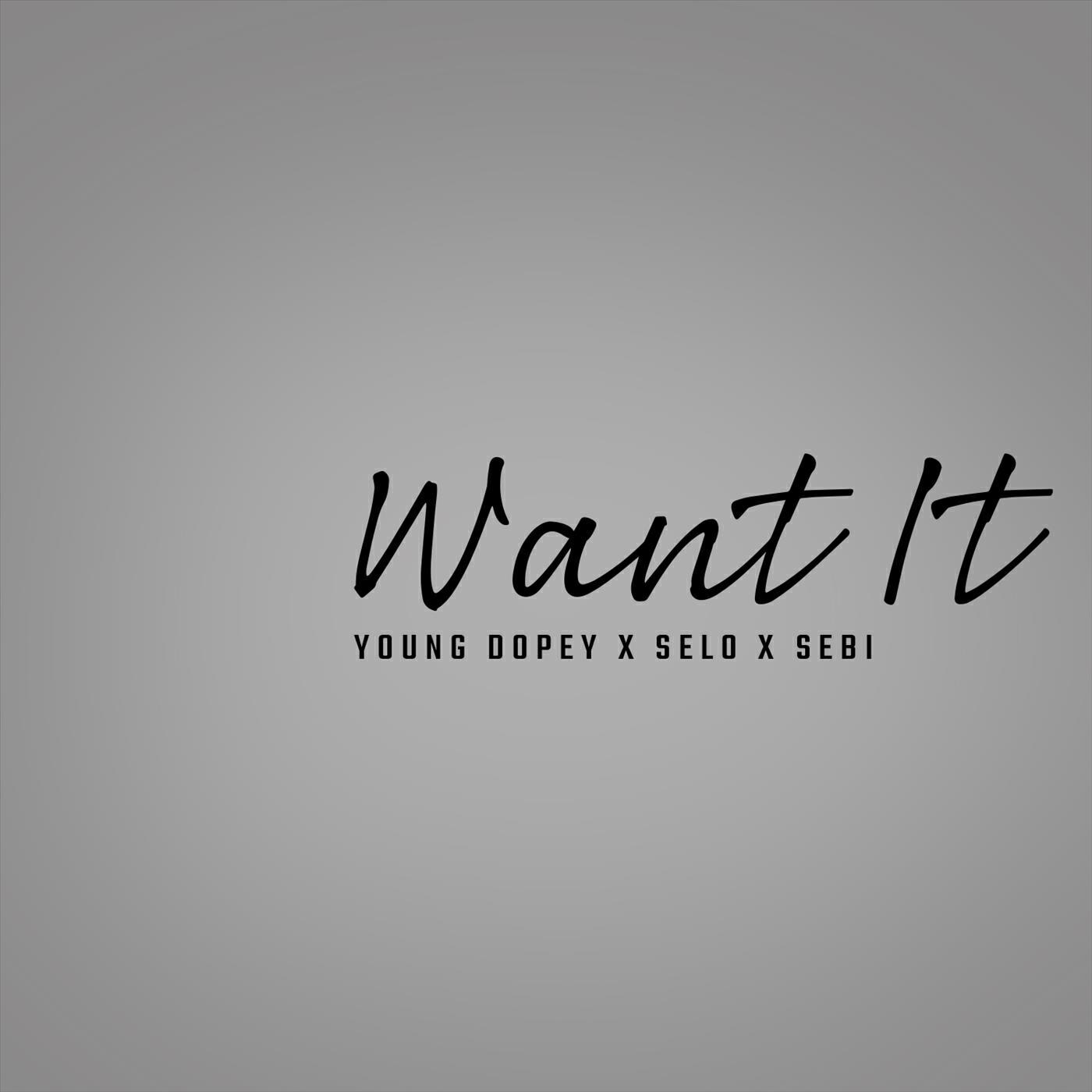 Релиз Want It
