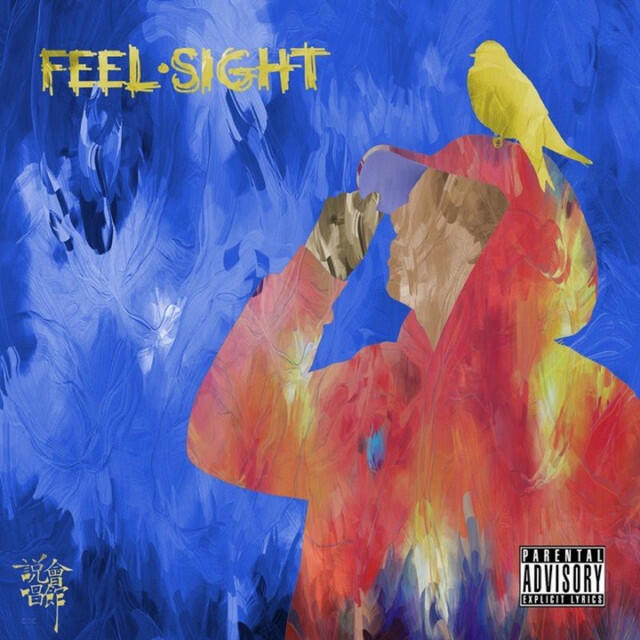 Релиз Feel & Sight