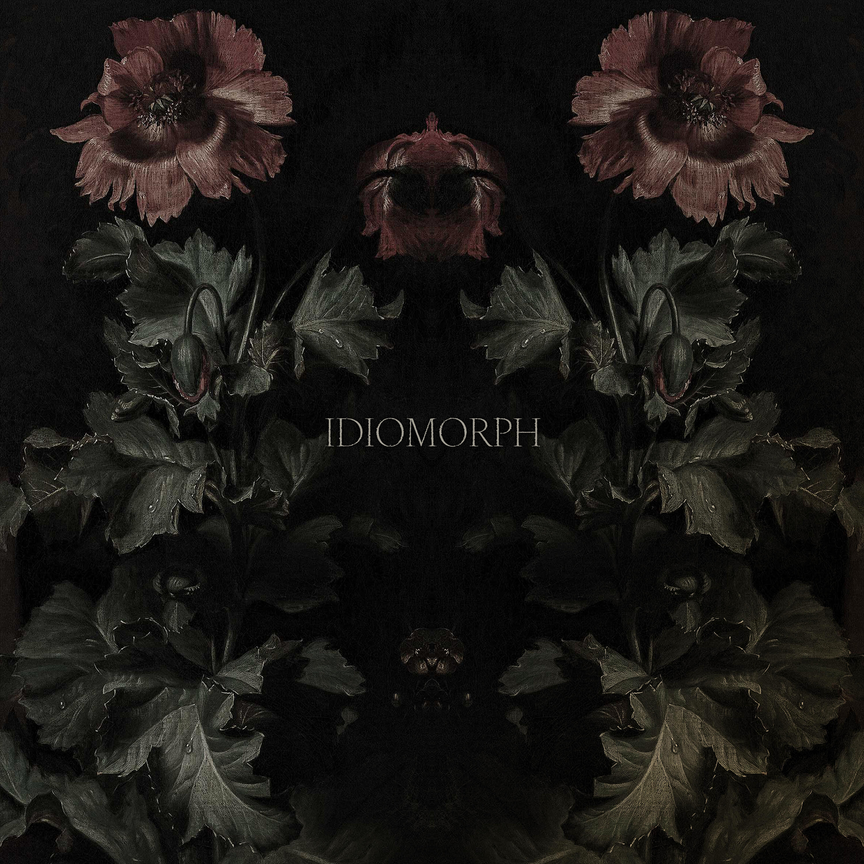 Релиз Idiomorph